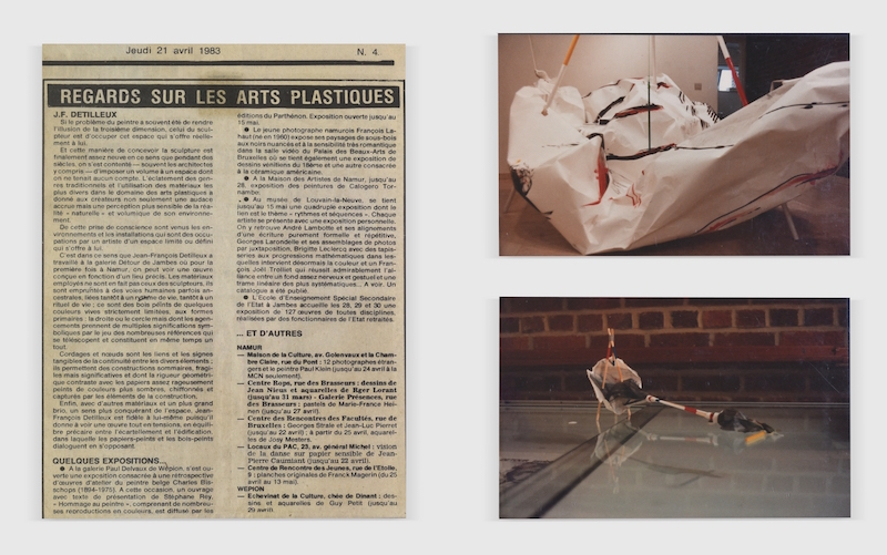 Jean-François Detilleux - Article 1983
