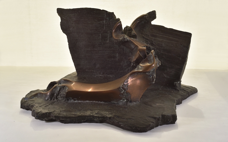 Jean-François Detilleux - Bronze 1
